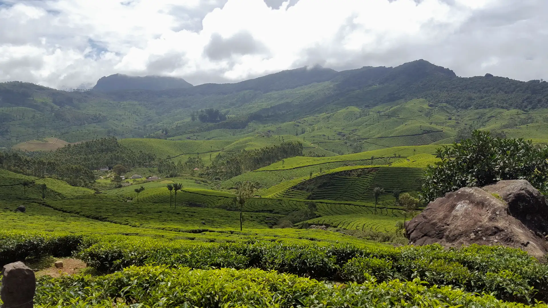 Captivating Kerala (2N Munnar + 1N Thekkady + 1N Alleppey + 2N Kovalam) Captivating Kerala (2N Munnar + 1N Thekkady + 1N Alleppey + 2N Kovalam)