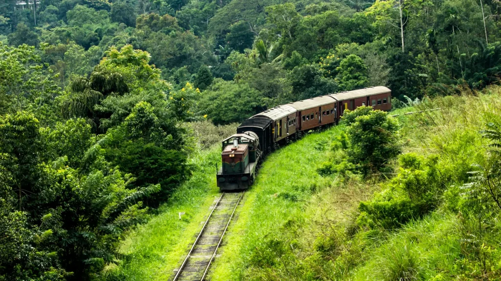 Chilling Sri Lanka tour package covering Kandy, Nuwara Eliya and Colombo with scenic sightseeing and cultural experiences