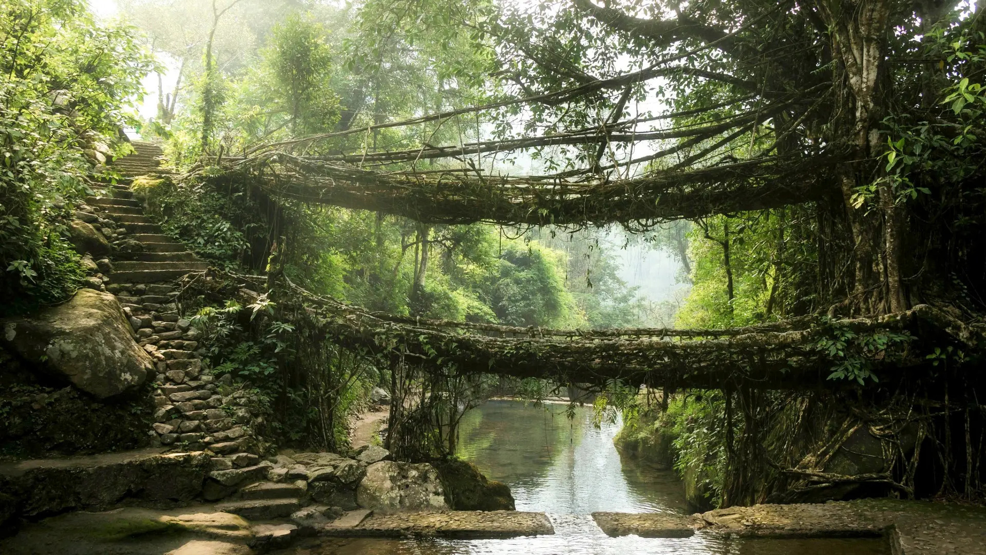 Majestic Meghalaya 3N Shillong + 2N Cherrapunjee + 1N Guwahati